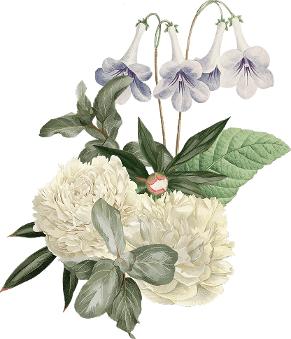 Ornaments