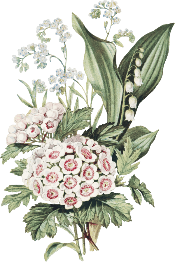 Ornaments